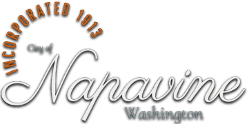 Napavine Washington Logo