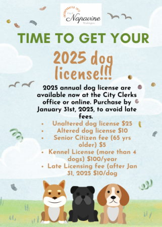 Dog License Flyer